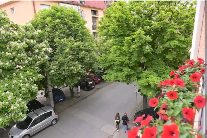 Milica Apartments 斯科普里 外观 照片
